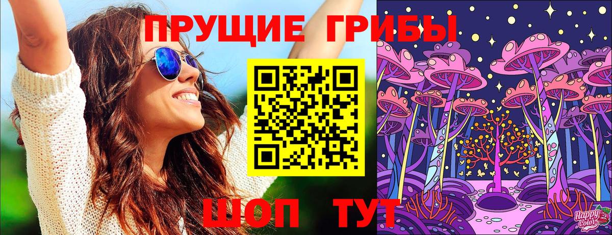 Знаменск  Псилоцибиновые грибы мицелий  Вход с VPN 